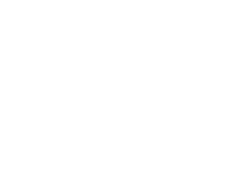 NovaBee